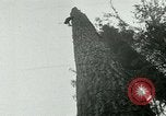 Image timber Oregon United States USA, 1951, de la seconde 48 séquences d'archives historiques vidéo 65675024730