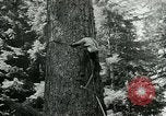 Image timber Oregon United States USA, 1951, de la seconde 51 séquences d'archives historiques vidéo 65675024730