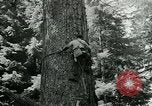 Image timber Oregon United States USA, 1951, de la seconde 52 séquences d'archives historiques vidéo 65675024730