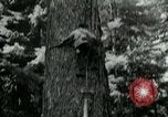 Image timber Oregon United States USA, 1951, de la seconde 54 séquences d'archives historiques vidéo 65675024730