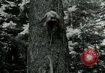 Image timber Oregon United States USA, 1951, de la seconde 55 séquences d'archives historiques vidéo 65675024730