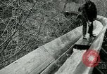 Image timber Oregon United States USA, 1951, de la seconde 61 séquences d'archives historiques vidéo 65675024730