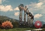 Standbild Wahrzeichen Los Angeles California USA, 1950, aus Sekunde 62 historischem Filmmaterial Videoclip 65675024737