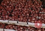 Image of Farmer's Market Los Angeles California USA, 1950, second 37 stock footage video 65675024748