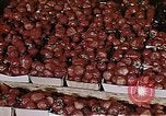 Image of Farmer's Market Los Angeles California USA, 1950, second 38 stock footage video 65675024748