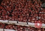 Image of Farmer's Market Los Angeles California USA, 1950, second 39 stock footage video 65675024748