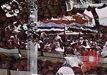 Image of Farmer's Market Los Angeles California USA, 1950, second 40 stock footage video 65675024748