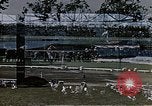 Image of sports and outdoor activities Los Angeles California USA, 1950, second 1 stock footage video 65675024750