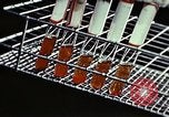 Image of penicillin United States USA, 1950, second 30 stock footage video 65675024754