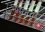 Image of penicillin United States USA, 1950, second 32 stock footage video 65675024754