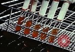 Image of penicillin United States USA, 1950, second 33 stock footage video 65675024754