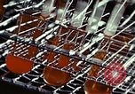 Image of penicillin United States USA, 1950, second 34 stock footage video 65675024754