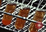 Image of penicillin United States USA, 1950, second 40 stock footage video 65675024754