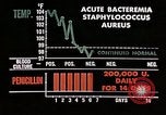 Image of penicillin United States USA, 1950, second 33 stock footage video 65675024755