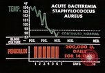 Image of penicillin United States USA, 1950, second 41 stock footage video 65675024755