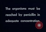 Immagine di Penicillina United States USA, 1950, secondo 33 filmato di repertorio 65675024757