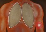 Standbild Penicillin United States USA, 1950, aus Sekunde 27 historischem Filmmaterial Videoclip 65675024762