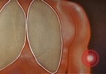 Standbild Penicillin United States USA, 1950, aus Sekunde 29 historischem Filmmaterial Videoclip 65675024762