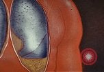 Standbild Penicillin United States USA, 1950, aus Sekunde 49 historischem Filmmaterial Videoclip 65675024762