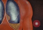 Standbild Penicillin United States USA, 1950, aus Sekunde 50 historischem Filmmaterial Videoclip 65675024762
