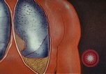Standbild Penicillin United States USA, 1950, aus Sekunde 51 historischem Filmmaterial Videoclip 65675024762
