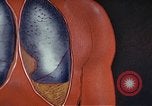 Standbild Penicillin United States USA, 1950, aus Sekunde 52 historischem Filmmaterial Videoclip 65675024762