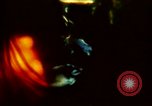 Image Le diéthylamide de l'acide lysergique LSD party United States USA, 1966, de la seconde 3 séquences d'archives historiques vidéo 65675024771