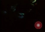 Image Le diéthylamide de l'acide lysergique LSD party United States USA, 1966, de la seconde 14 séquences d'archives historiques vidéo 65675024771
