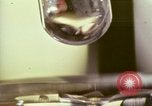 Image des activités de laboratoire United States USA, 1966, de la seconde 1 séquences d'archives historiques vidéo 65675024775