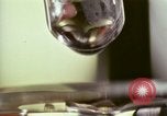 Image des activités de laboratoire United States USA, 1966, de la seconde 4 séquences d'archives historiques vidéo 65675024775