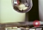 Image des activités de laboratoire United States USA, 1966, de la seconde 33 séquences d'archives historiques vidéo 65675024775