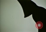 Image Le diéthylamide de l'acide lysergique imagerie parti United States USA, 1966, de la seconde 55 séquences d'archives historiques vidéo 65675024776