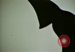 Image Le diéthylamide de l'acide lysergique imagerie parti United States USA, 1966, de la seconde 60 séquences d'archives historiques vidéo 65675024776