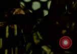 Image of Illegal LSD or Lysergic acid diethylamide party United States USA, 1966, second 33 stock footage video 65675024777