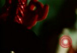 Image of Illegal LSD or Lysergic acid diethylamide party United States USA, 1966, second 53 stock footage video 65675024777