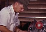 Image of mess facilities Vietnam, 1966, second 40 stock footage video 65675024794