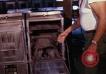 Image of mess facilities Vietnam, 1966, second 24 stock footage video 65675024795