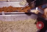 Image of mess facilities Vietnam, 1966, second 15 stock footage video 65675024796