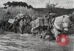 Standbild Erfassung von Nanning China, 1944, aus Sekunde 31 historischem Filmmaterial Videoclip 65675024807