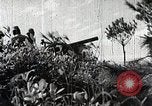 Standbild Erfassung von Nanning China, 1944, aus Sekunde 54 historischem Filmmaterial Videoclip 65675024807