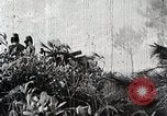 Standbild Erfassung von Nanning China, 1944, aus Sekunde 55 historischem Filmmaterial Videoclip 65675024807