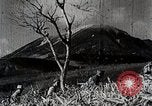 Immagine di A caccia di cervi Nikko Giappone, 1944, secondo 14 filmato di repertorio 65675024808