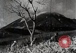Immagine di A caccia di cervi Nikko Giappone, 1944, secondo 15 filmato di repertorio 65675024808