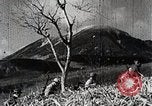 Immagine di A caccia di cervi Nikko Giappone, 1944, secondo 17 filmato di repertorio 65675024808