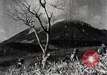 Immagine di A caccia di cervi Nikko Giappone, 1944, secondo 18 filmato di repertorio 65675024808