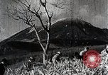 Immagine di A caccia di cervi Nikko Giappone, 1944, secondo 19 filmato di repertorio 65675024808