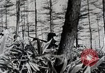 Immagine di A caccia di cervi Nikko Giappone, 1944, secondo 30 filmato di repertorio 65675024808