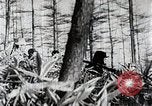 Immagine di A caccia di cervi Nikko Giappone, 1944, secondo 32 filmato di repertorio 65675024808