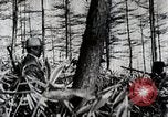Immagine di A caccia di cervi Nikko Giappone, 1944, secondo 34 filmato di repertorio 65675024808