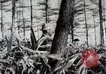 Immagine di A caccia di cervi Nikko Giappone, 1944, secondo 35 filmato di repertorio 65675024808